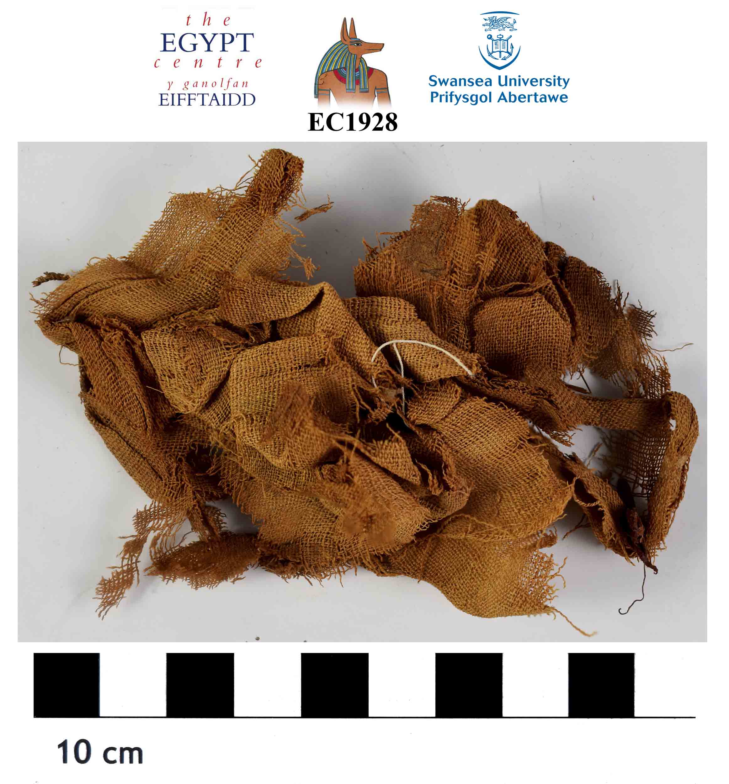 Image for: Fragments of mummy wrappings